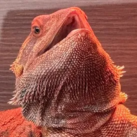 wrex